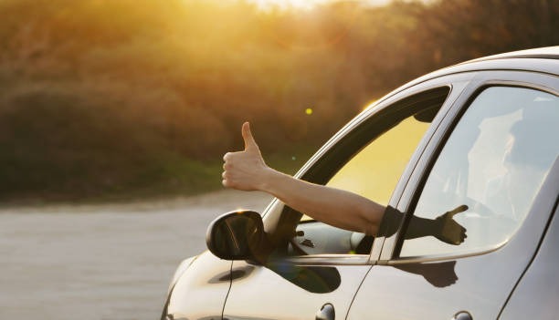 Roam Freely Find Your Perfect Car and Hit the Road